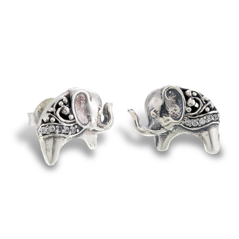 Indian Elephant Studs