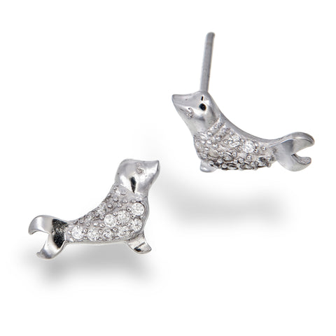 Sea Lion Studs