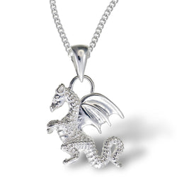 Silver Dragon Pendant